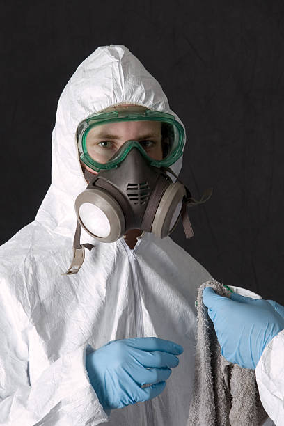 Professional Mold Removal in Remerton, GA